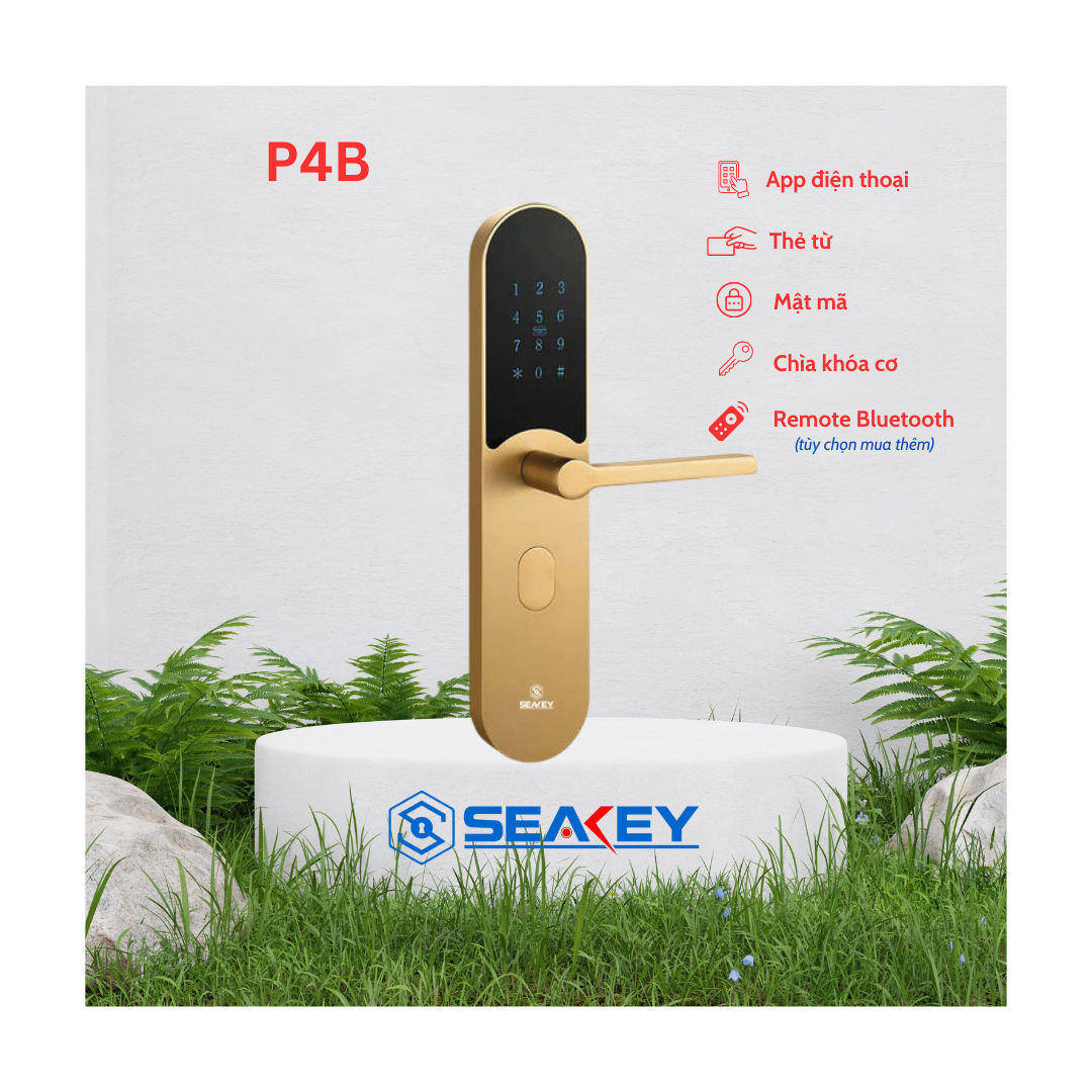 P4B